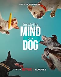 Inside the Mind of a Dog Hindi Dubbed English Movie Download 480p 720p 1080p Filmy4Wap